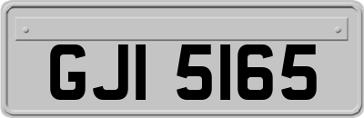 GJI5165