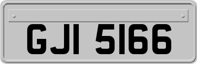 GJI5166