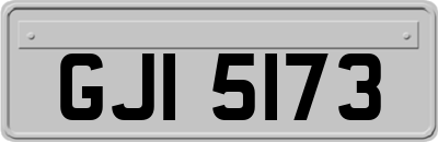 GJI5173