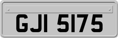 GJI5175