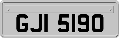 GJI5190