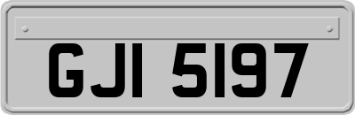 GJI5197