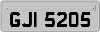 GJI5205