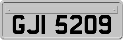 GJI5209