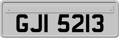 GJI5213