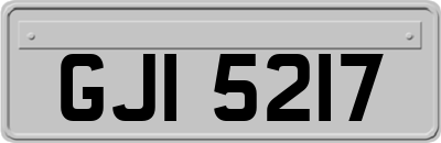 GJI5217