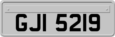 GJI5219