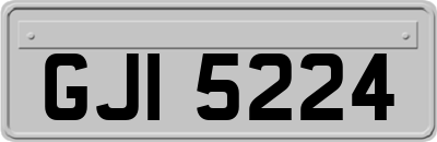 GJI5224