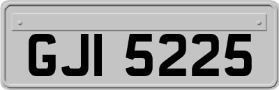 GJI5225