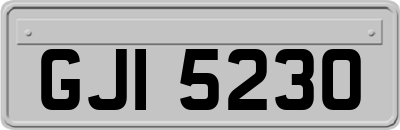 GJI5230