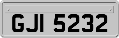 GJI5232