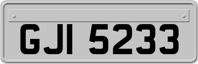 GJI5233