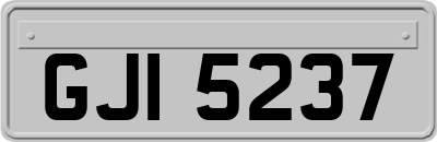GJI5237