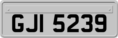 GJI5239
