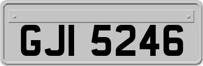 GJI5246