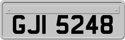 GJI5248