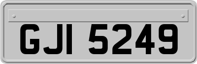 GJI5249