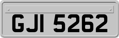GJI5262