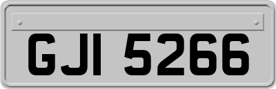 GJI5266