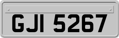 GJI5267