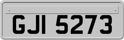 GJI5273