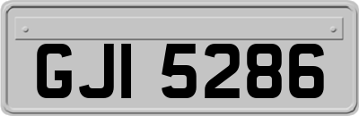 GJI5286