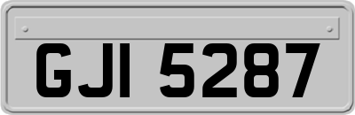 GJI5287
