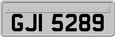 GJI5289