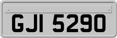 GJI5290