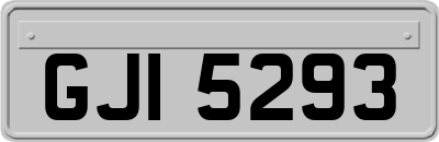 GJI5293