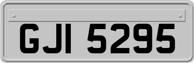 GJI5295