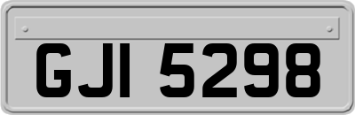 GJI5298