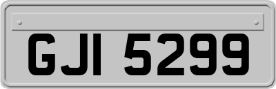 GJI5299