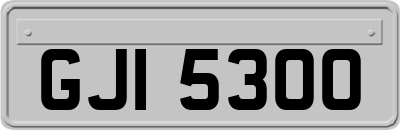 GJI5300