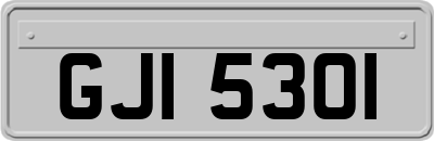 GJI5301