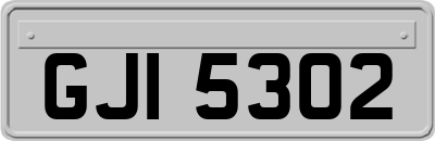 GJI5302