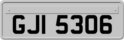 GJI5306