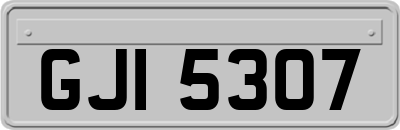 GJI5307