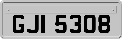 GJI5308