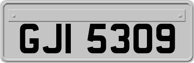 GJI5309