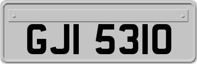 GJI5310