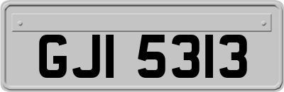 GJI5313