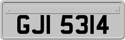 GJI5314