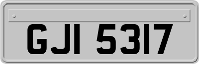 GJI5317