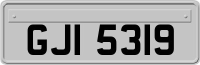 GJI5319