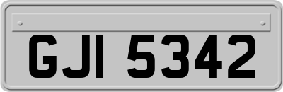 GJI5342