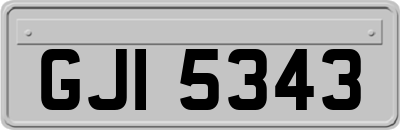 GJI5343