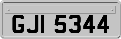 GJI5344
