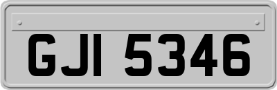 GJI5346