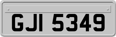 GJI5349
